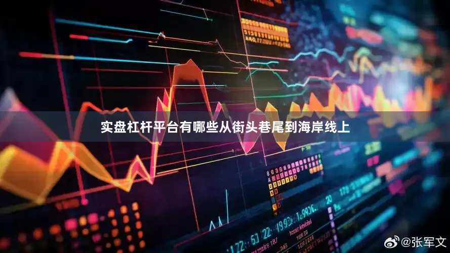 实盘杠杆平台有哪些从街头巷尾到海岸线上
